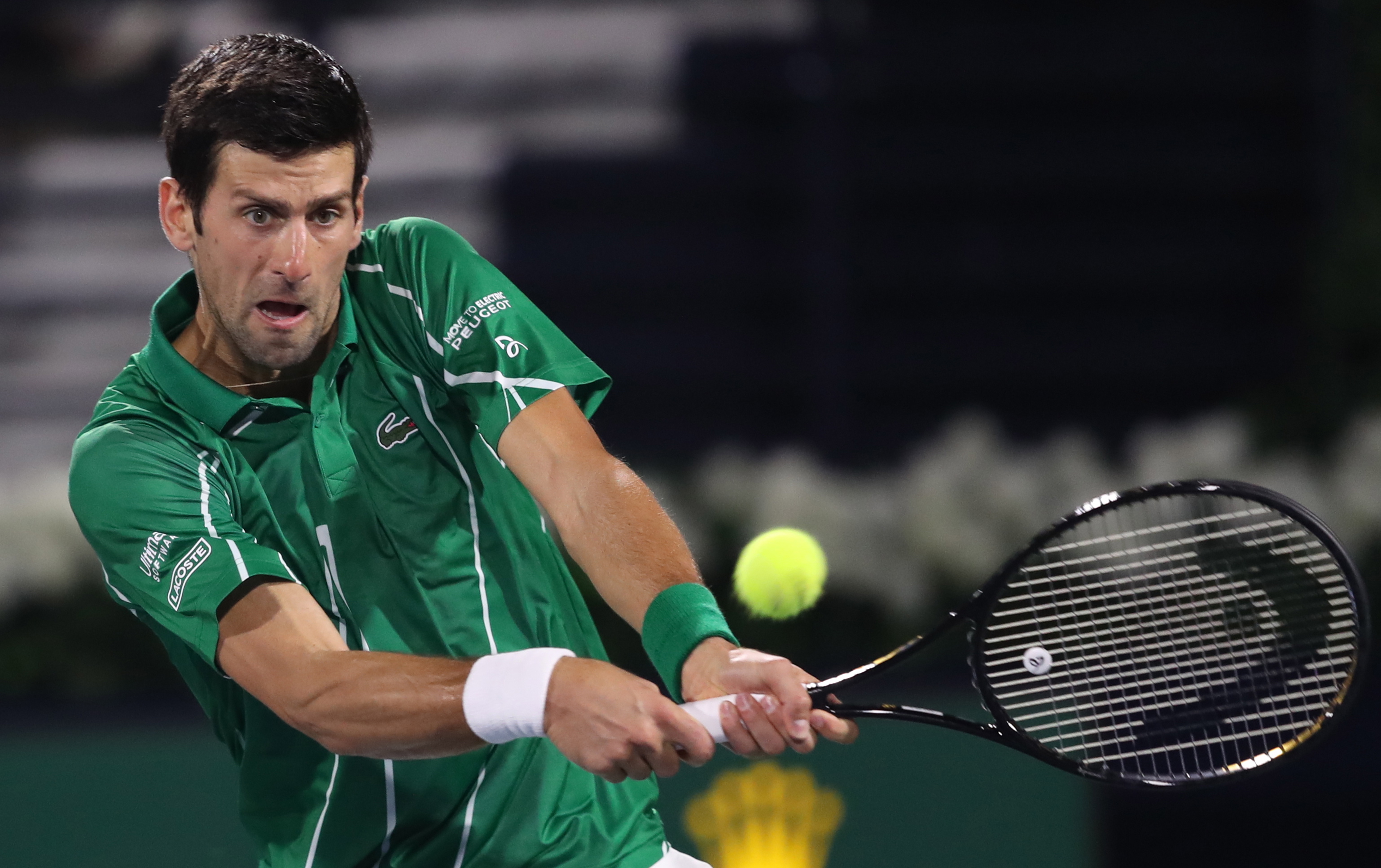 埃泽是否会 埃泽是否会