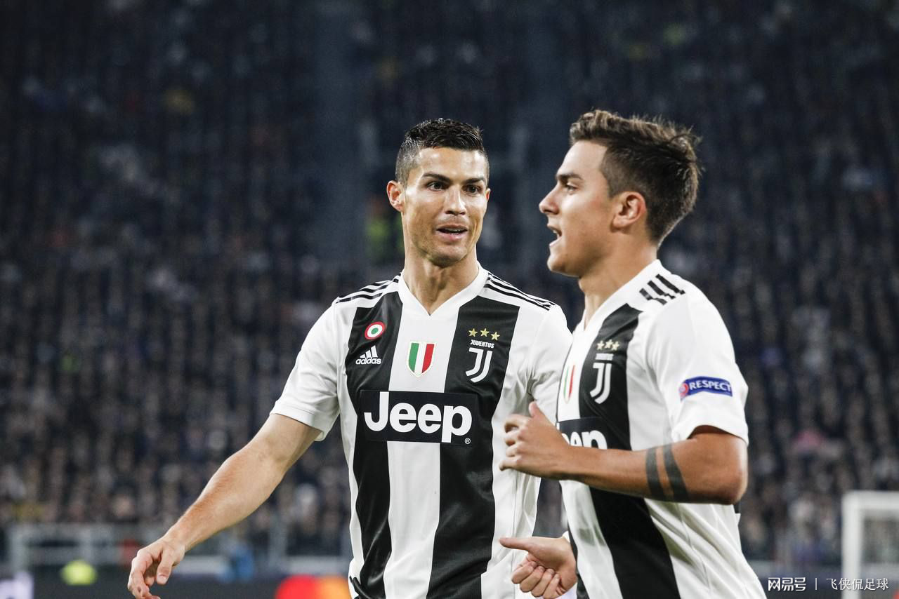 辛纳将室内 辛纳将室内